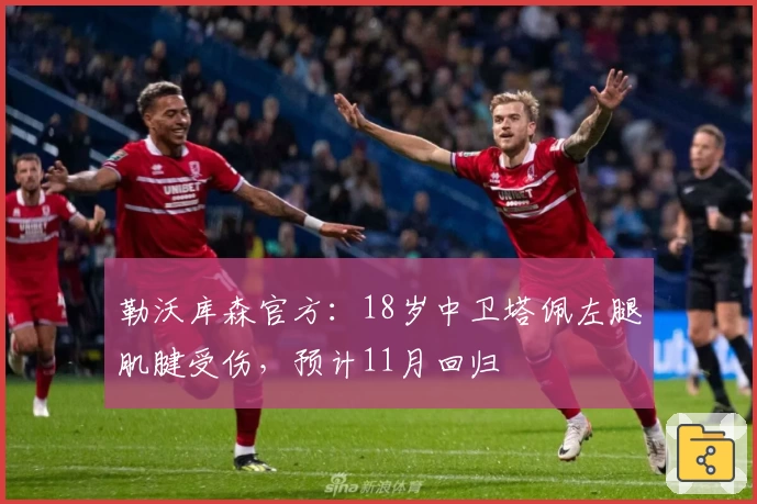 勒沃库森官方：18岁中卫塔佩左腿肌腱受伤，预计11月回归