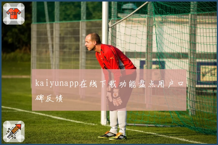 kaiyunapp在线下载功能盘点用户口碑反馈