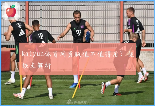 kaiyun体育网页版值不值得用？优缺点解析